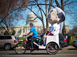 Capitol Pedicabs: Proudly pedaling our services across our nation's capitol!